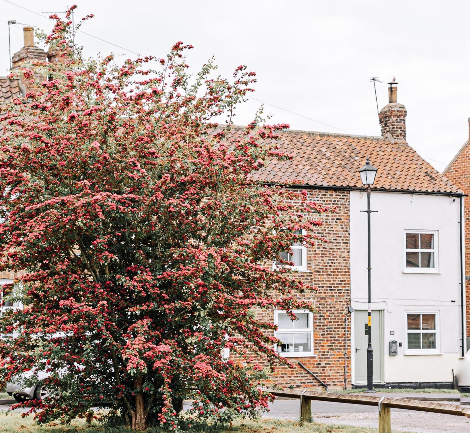 Holiday home New - Herriot's Hideaway Thirsk